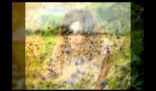 Embedded thumbnail for Anastasia Zvereva ,Rachmaninoff &amp;quot;The dream&amp;quot; op.38 